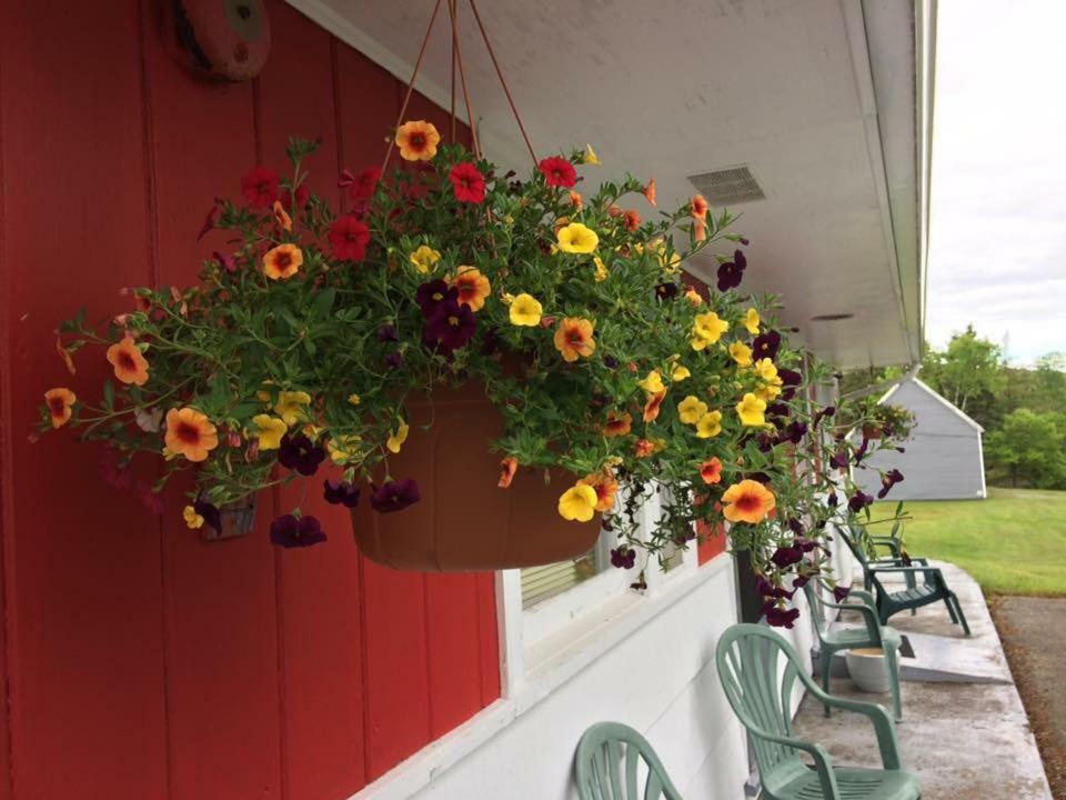 Webbers Lake Charlotte Motel Queen And Double Bed Eksteriør bilde